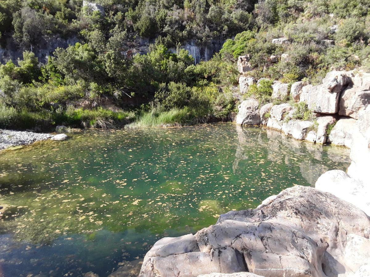Les Terres Basses Hotel Fabrezan Luaran gambar