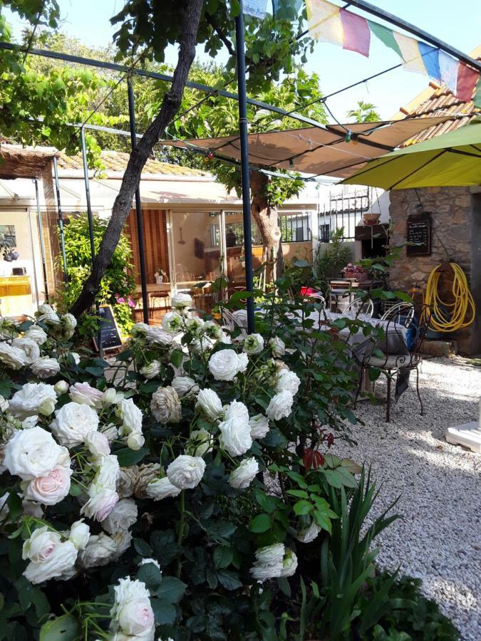 Les Terres Basses Hotel Fabrezan Luaran gambar